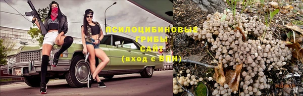 каннабис Алзамай