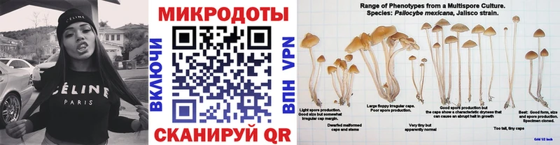 Псилоцибиновые грибы Psilocybine cubensis  купить наркотики сайты  это телеграм  Куса 